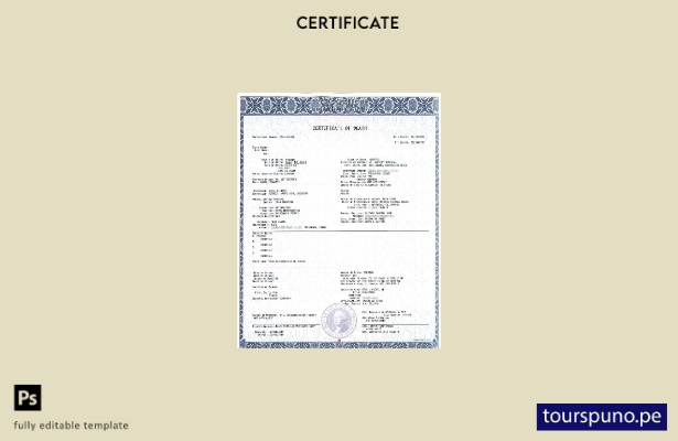 listo para imprimir plantilla de certificado de defunción del Departamento de  3